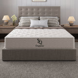 Organic Hybrid Plush Mattress